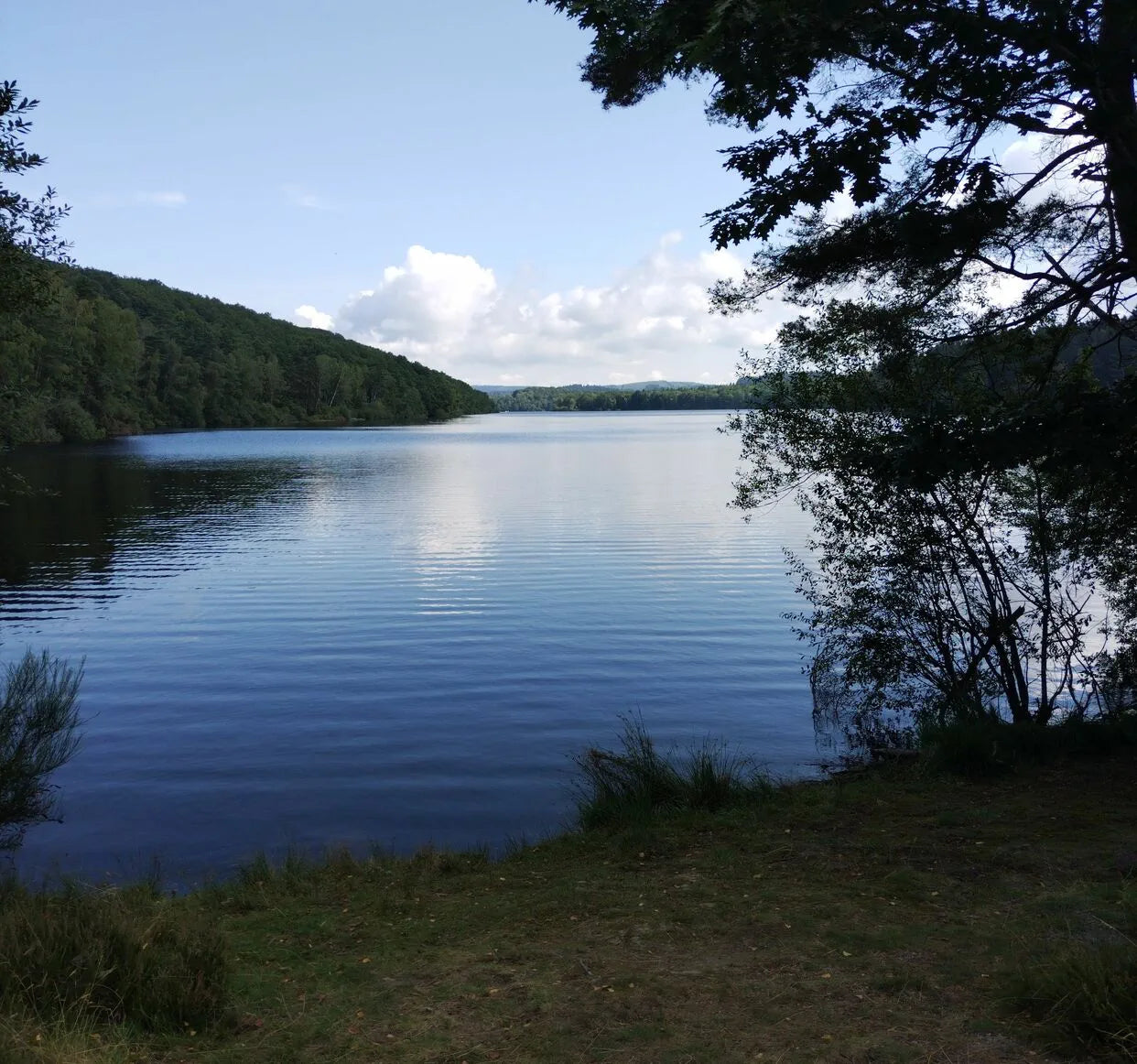 La Trace Fondatrice : Autour du Lac de Vassivière